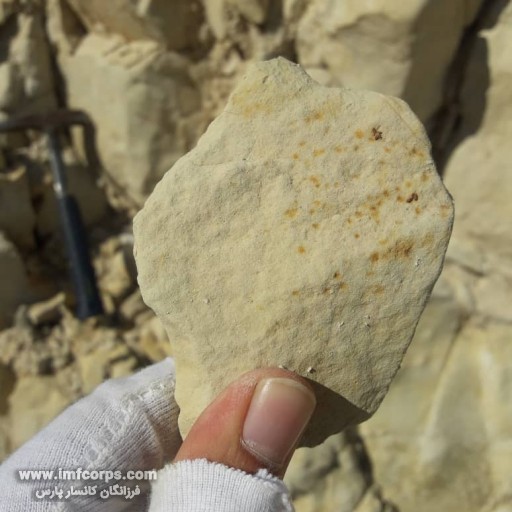 شناسائی اندیس های معدنی در منطقه لامرد و جنوب استان فارس 5