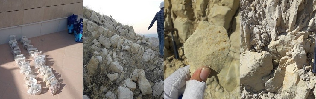 Beginning of field search and sampling operations in Lamerd